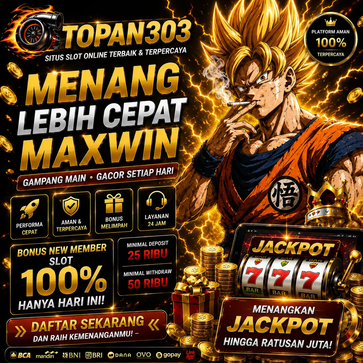 TOPAN303 Banner